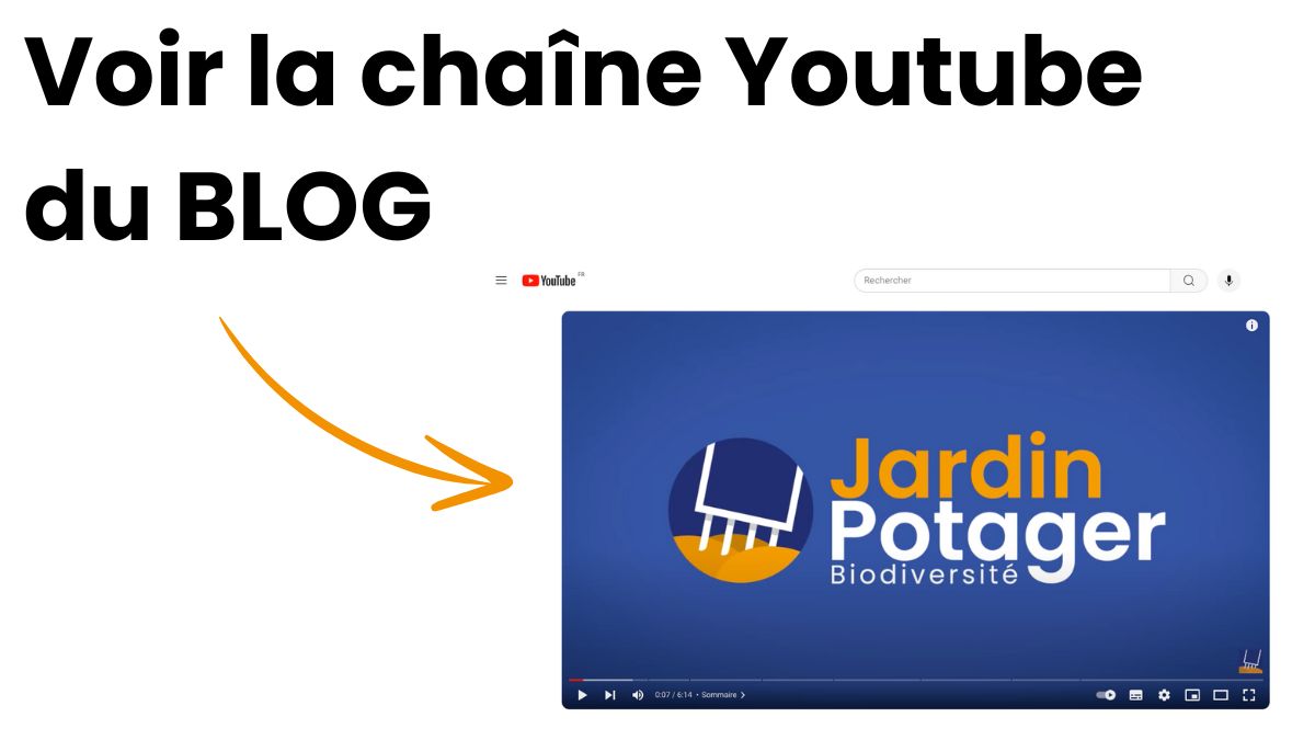 Vidéo Youtube : Organiser son carré potager