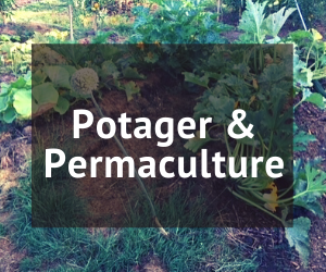 La permaculture au potager