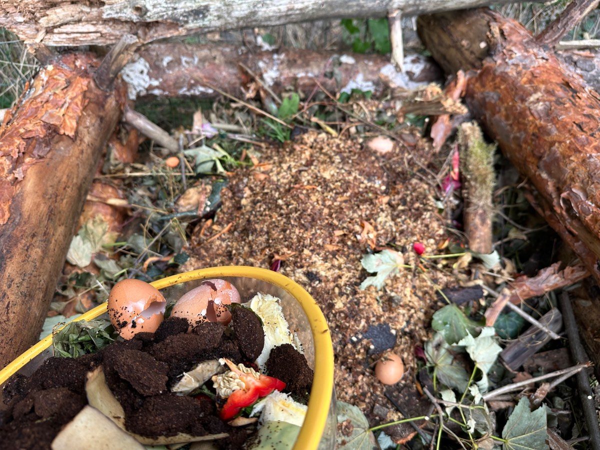 Apport de compost en hiver : les bonnes pratiques et les erreurs courantes à éviter