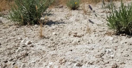 c-est-quoi-une-terre-calcaire