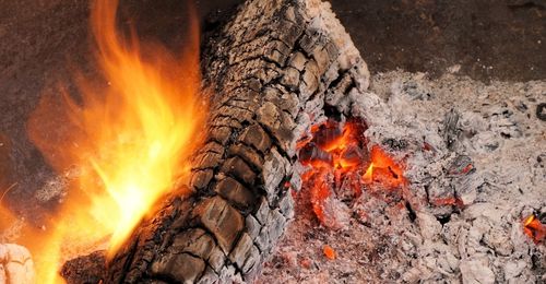 Utiliser les cendres de cheminée au potager