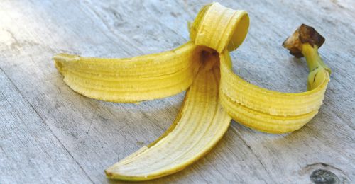 Peut-on composter les peaux de bananes ?