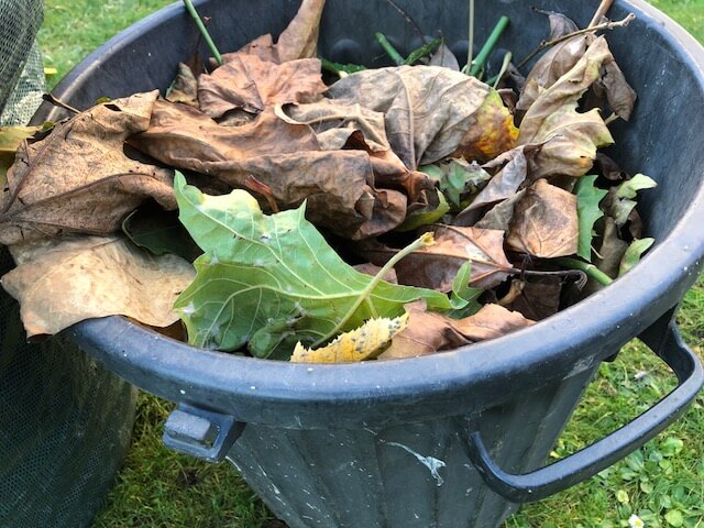 feuilles mortes dans un sac