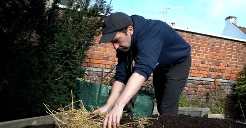Planter les pommes de terre au mois de mars