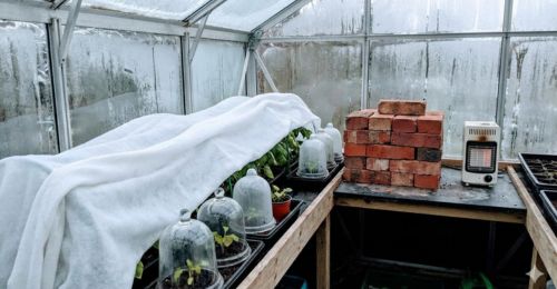 le-guide-anti-gel-de-la-serre-voiles-cloches-briques-chaudes-que-choisir-en-novembre