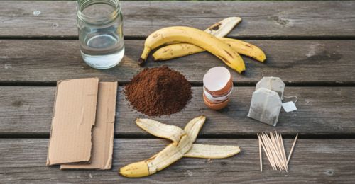 les-7-objets-du-quotidien-que-tout-le-monde-jette-mais-qui-sont-de-l-or-pour-le-potager