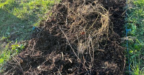 création d'une butte en lasagne