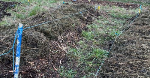 plusieurs buttes en lasagne