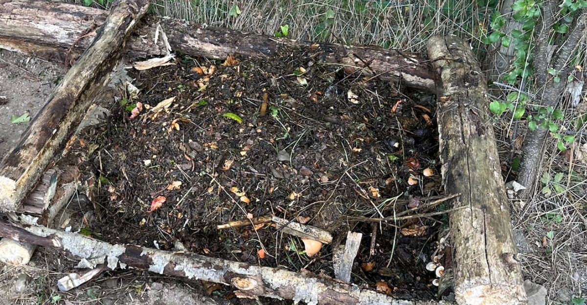 Comment utiliser son compost mûr ?