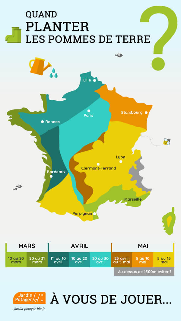 Infographie sur les dates de plantations des pommes de terre en 2023