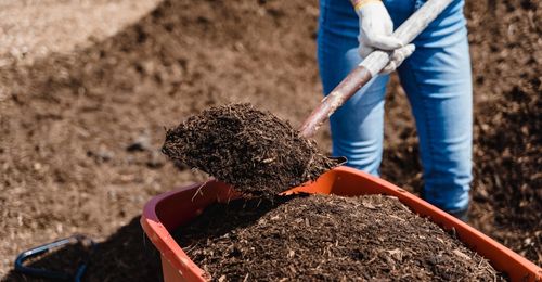 Compost : utilisations au jardin, au potager et pour les plantes