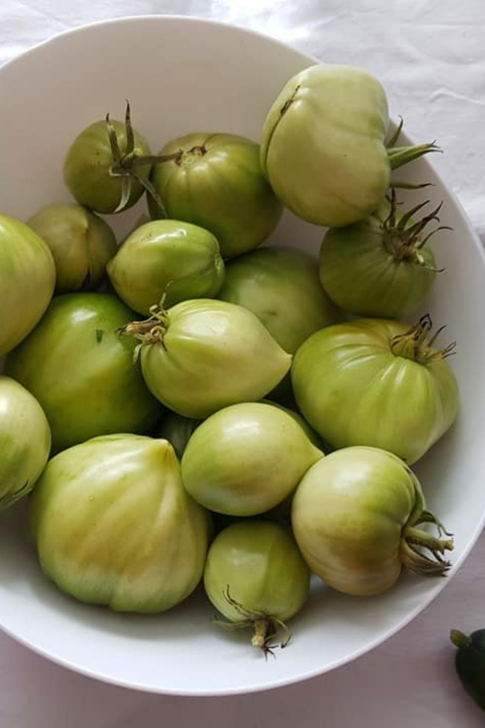 Photo de récolte des tomates vertes de Alice Laval