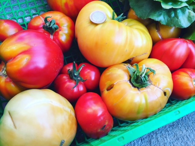 panier de tomates de différentes variétés
