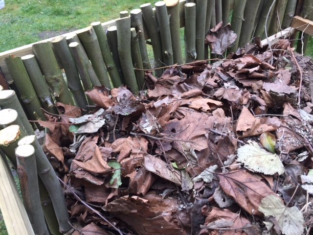 Couche de feuilles mortes dans le bac