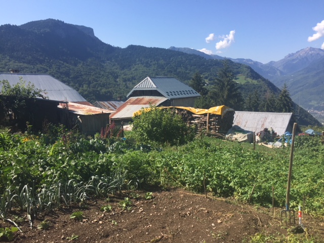 le potager en permaculture et la vue sur les montagnes