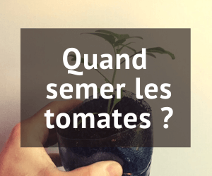 Date semis tomates 2022